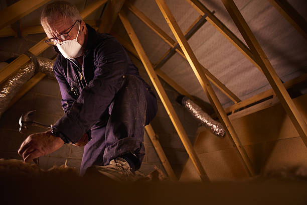Best Insulation Maintenance and Repair in Oaklawn Sunview, KS